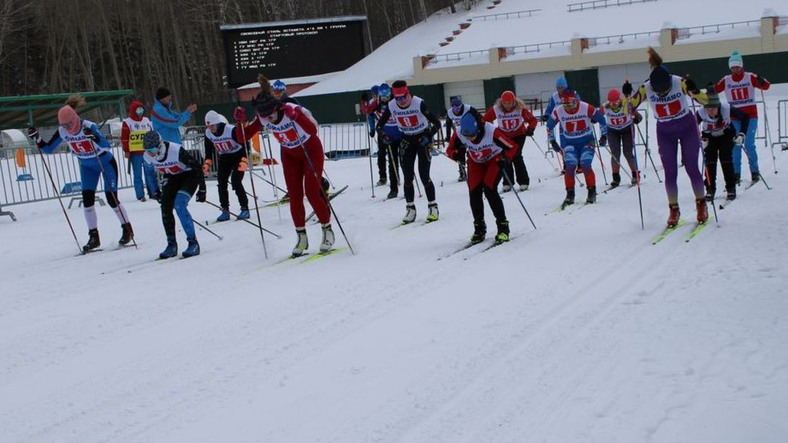 Соревнования по лыжным гонкам