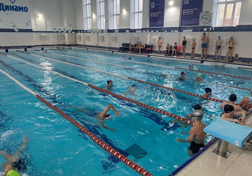 Проведены детские соревнования по плаванию, посвященные 101-летию создания новосибирского 