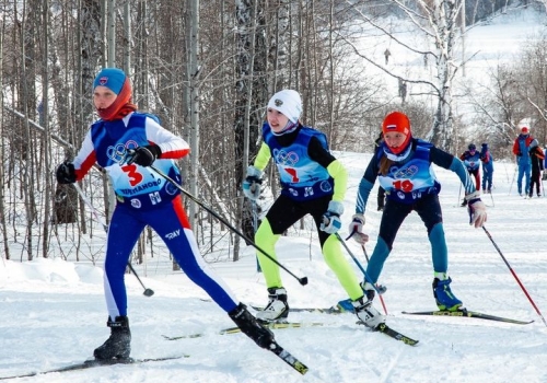 Соревнования по лыжным гонкам на призы Тропникова